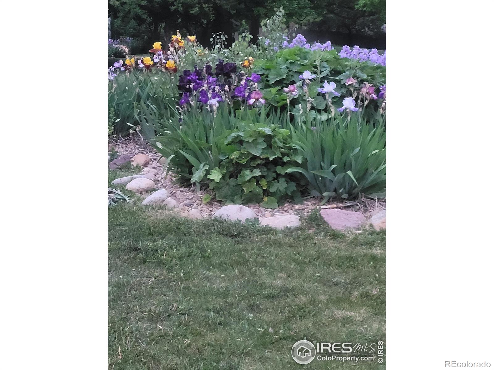 MLS Image #14 for 2950  glenwood drive,boulder, Colorado