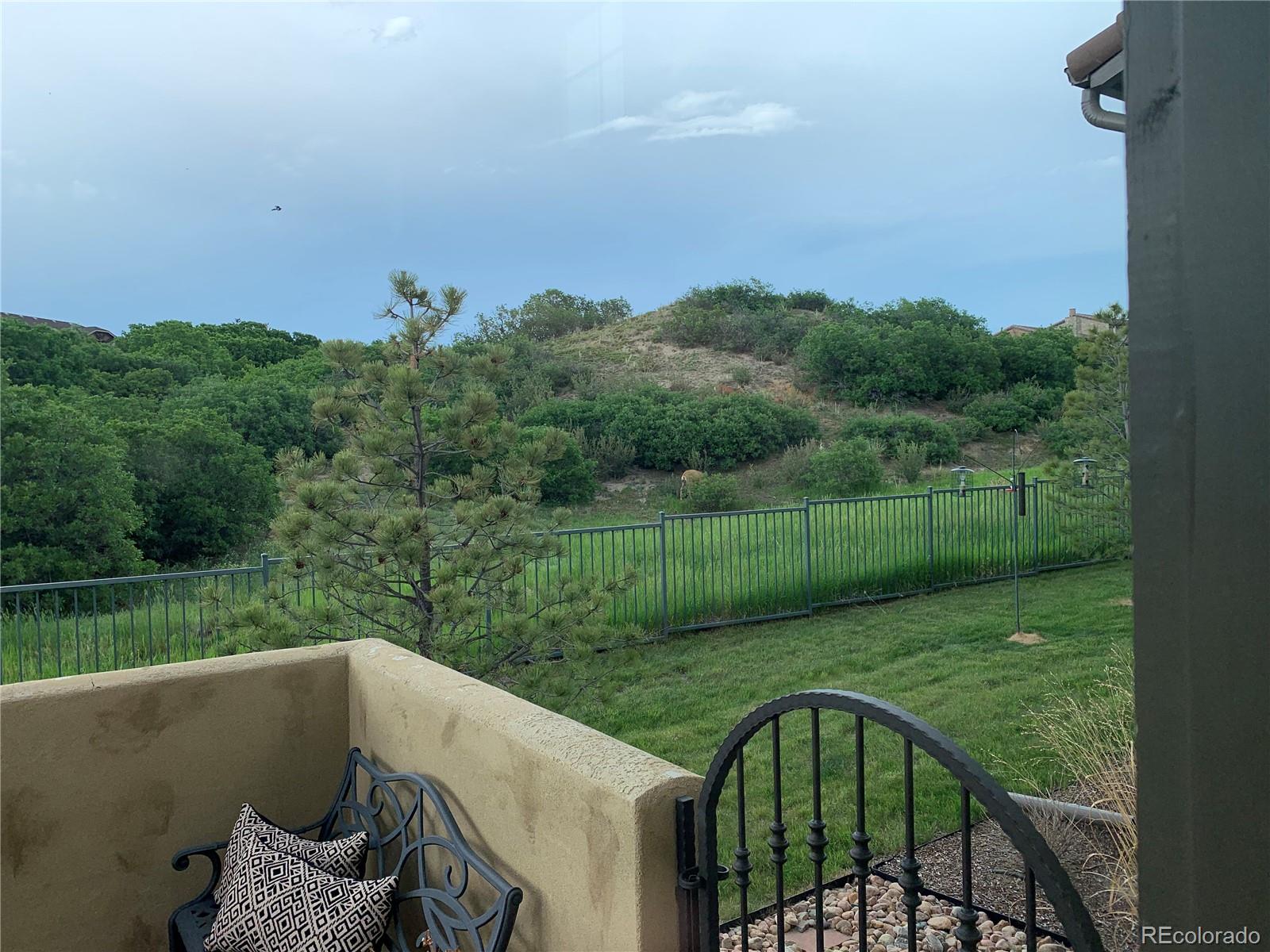 MLS Image #43 for 3654  tuscanna grove,colorado springs, Colorado