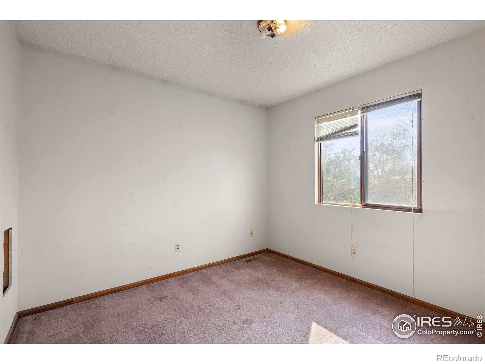 MLS Image #11 for 3762  dalton drive,fort collins, Colorado