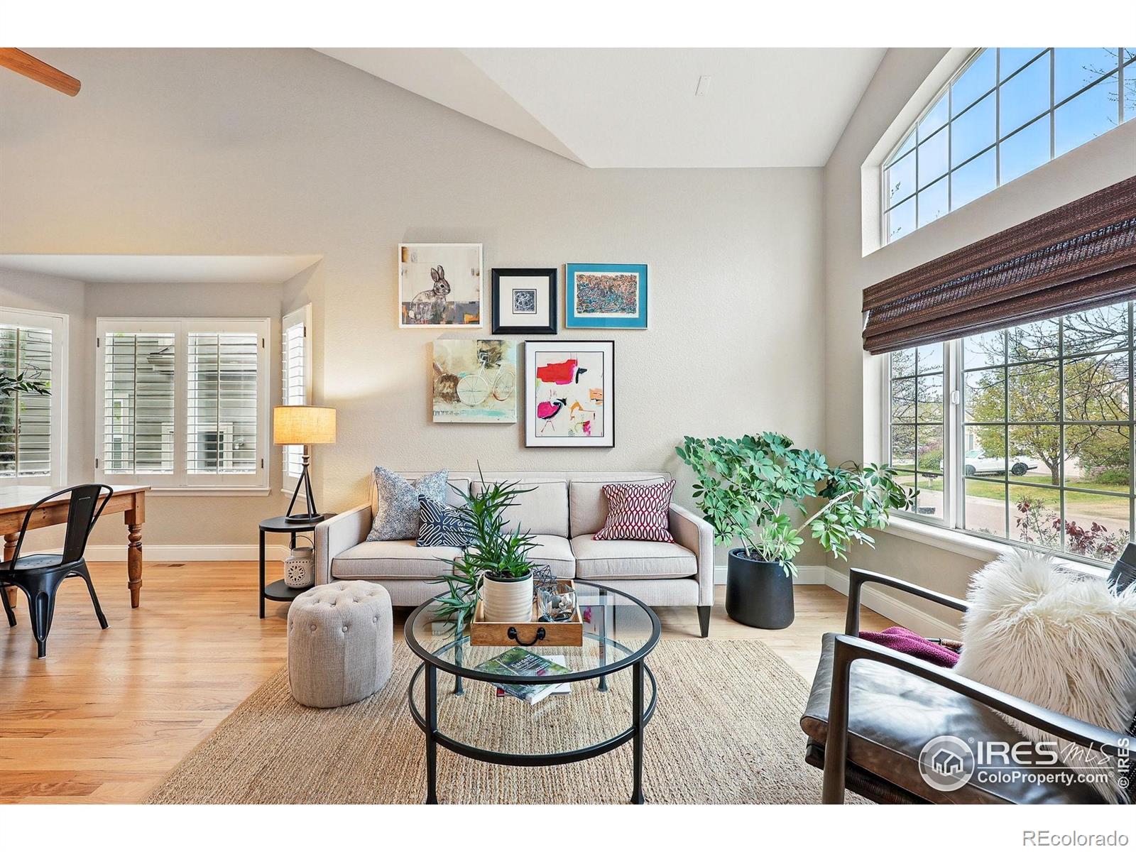 MLS Image #4 for 3235  basalt court,superior, Colorado