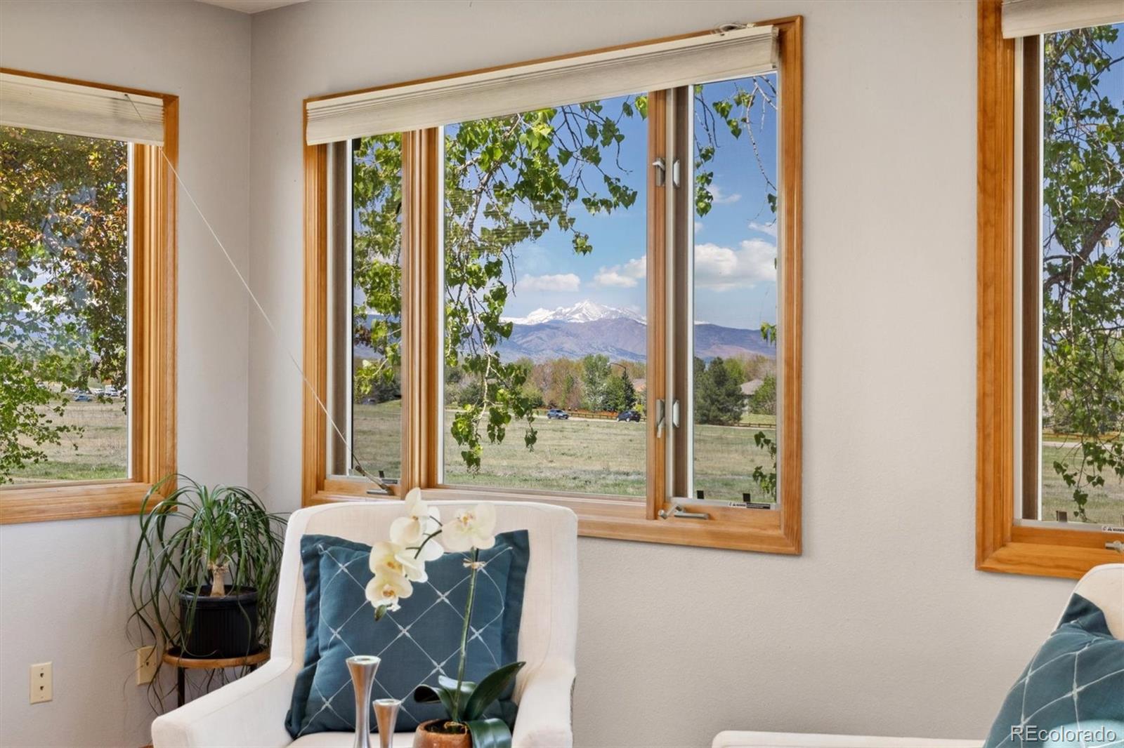 MLS Image #13 for 1309  alexandria street,lafayette, Colorado