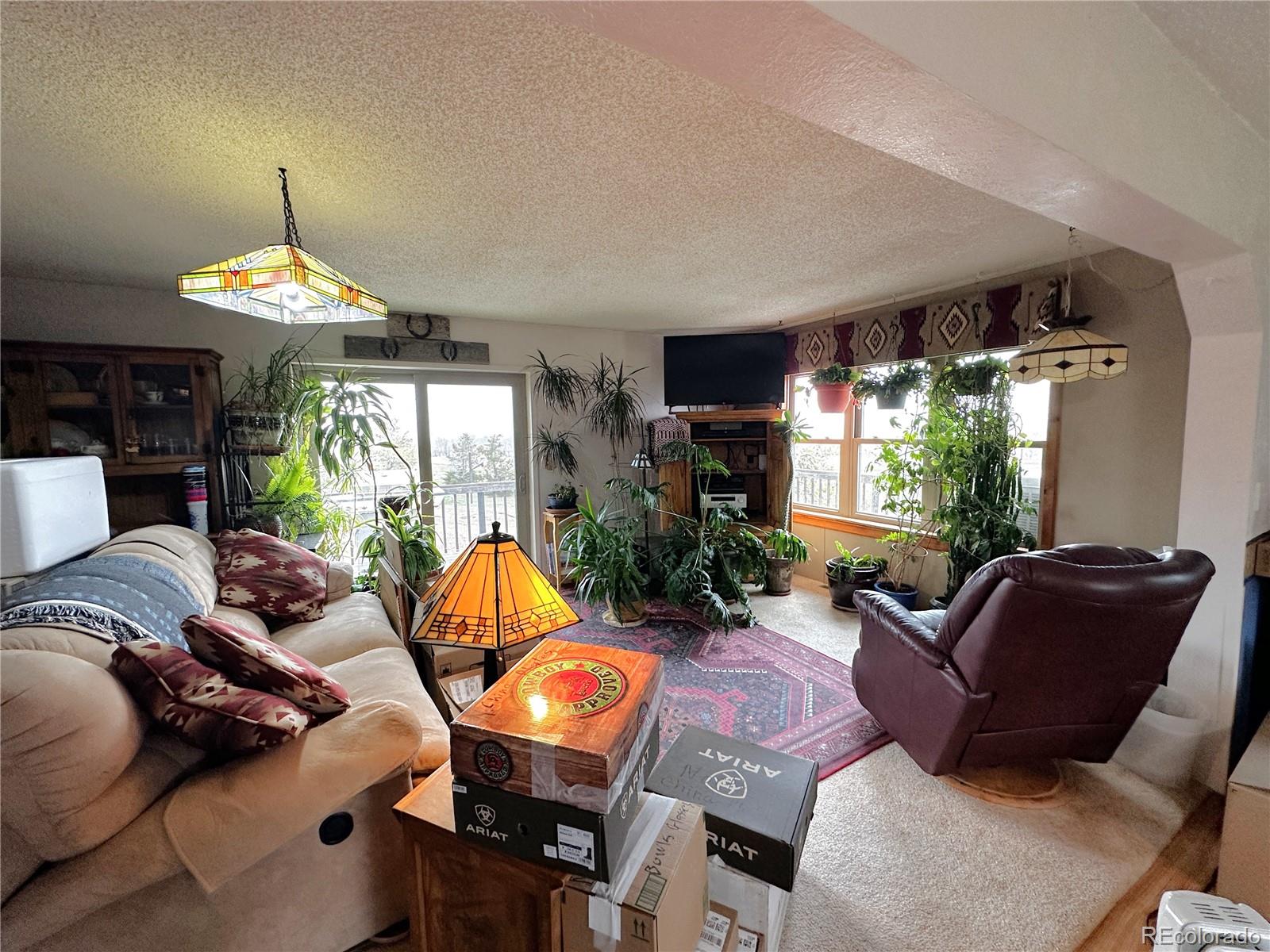 MLS Image #10 for 49063  st hwy 40/287 ,limon, Colorado