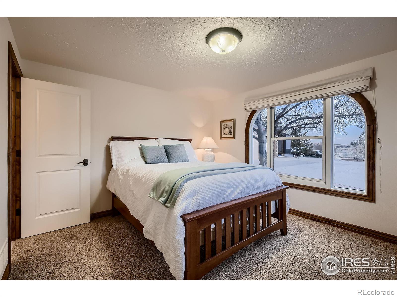 MLS Image #22 for 8224  firethorn drive,loveland, Colorado