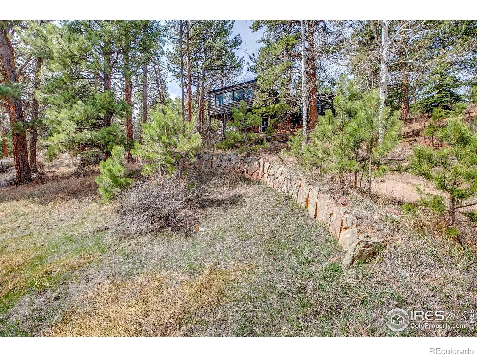 MLS Image #10 for 611  macgregor avenue,estes park, Colorado