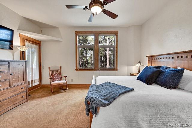MLS Image #11 for 15947  huckleberry heights,colorado springs, Colorado