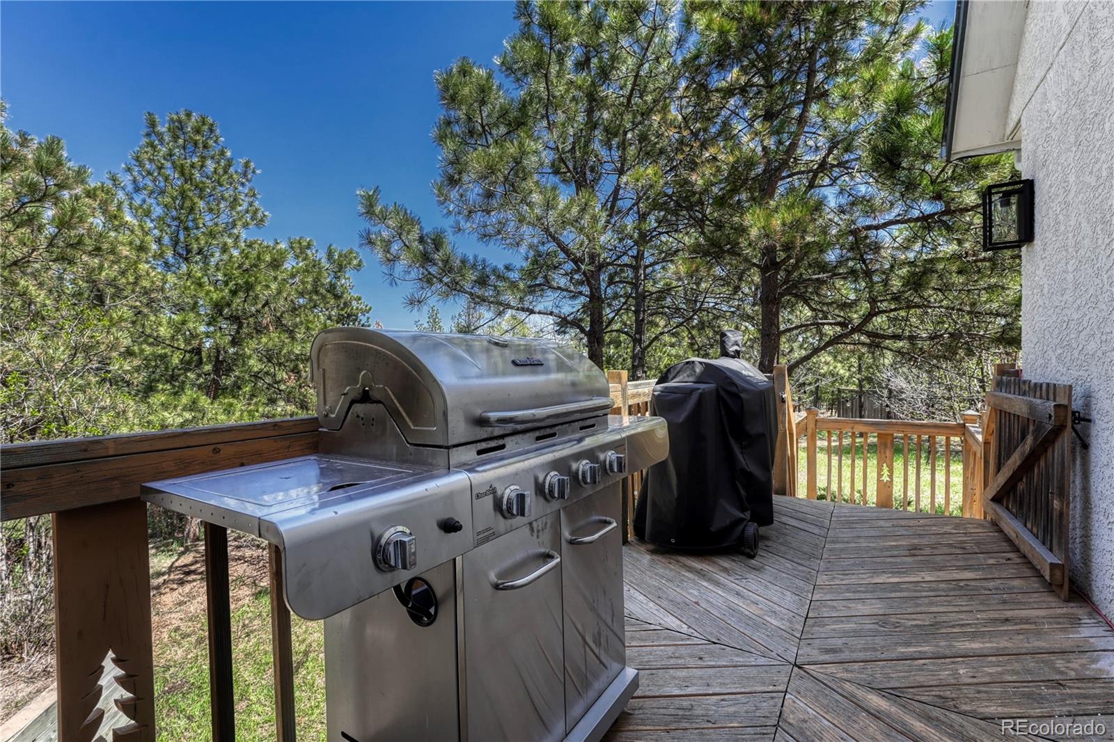 MLS Image #39 for 12165  domino way,colorado springs, Colorado