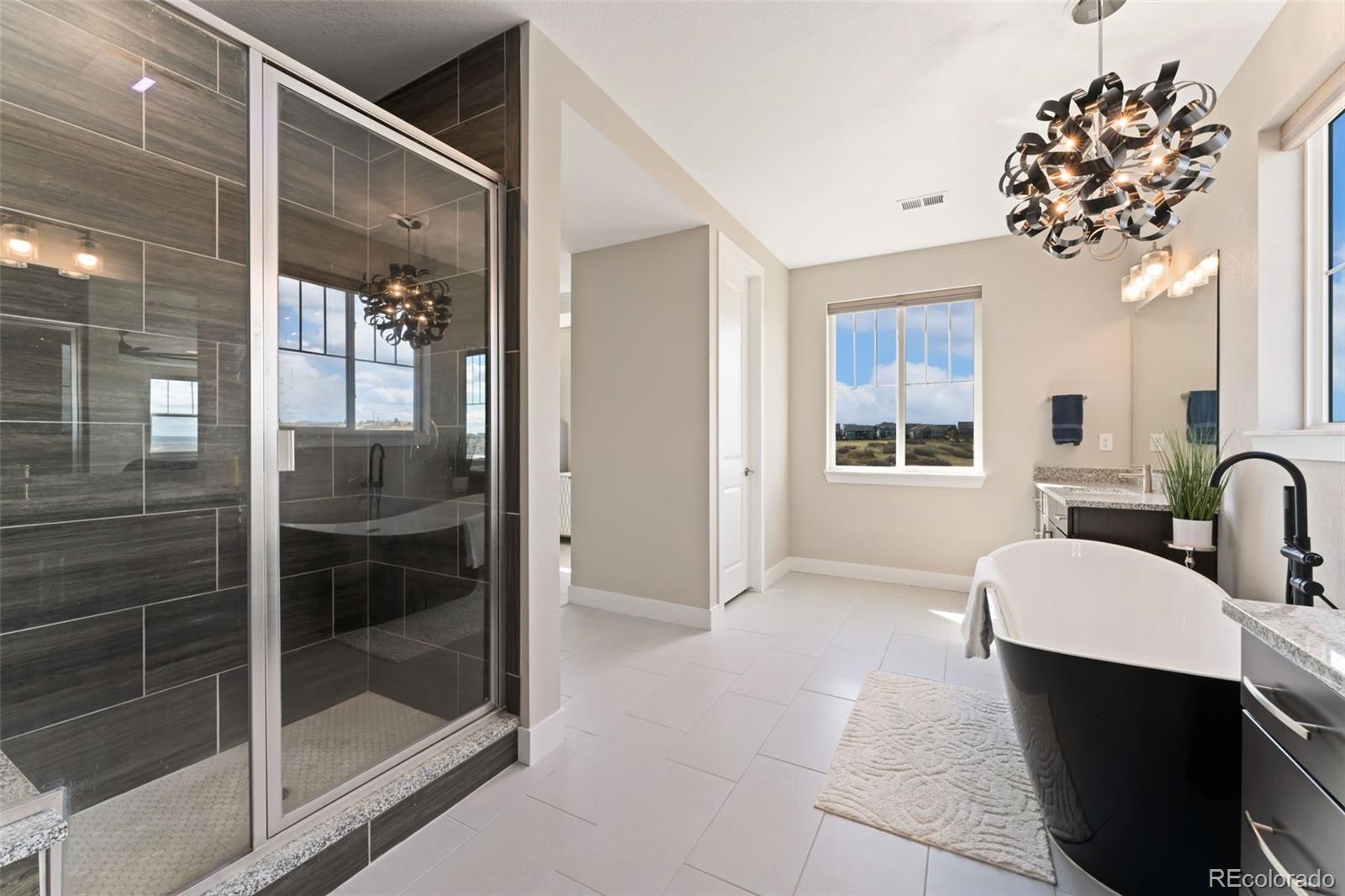 MLS Image #29 for 3128  bivouac point,castle rock, Colorado