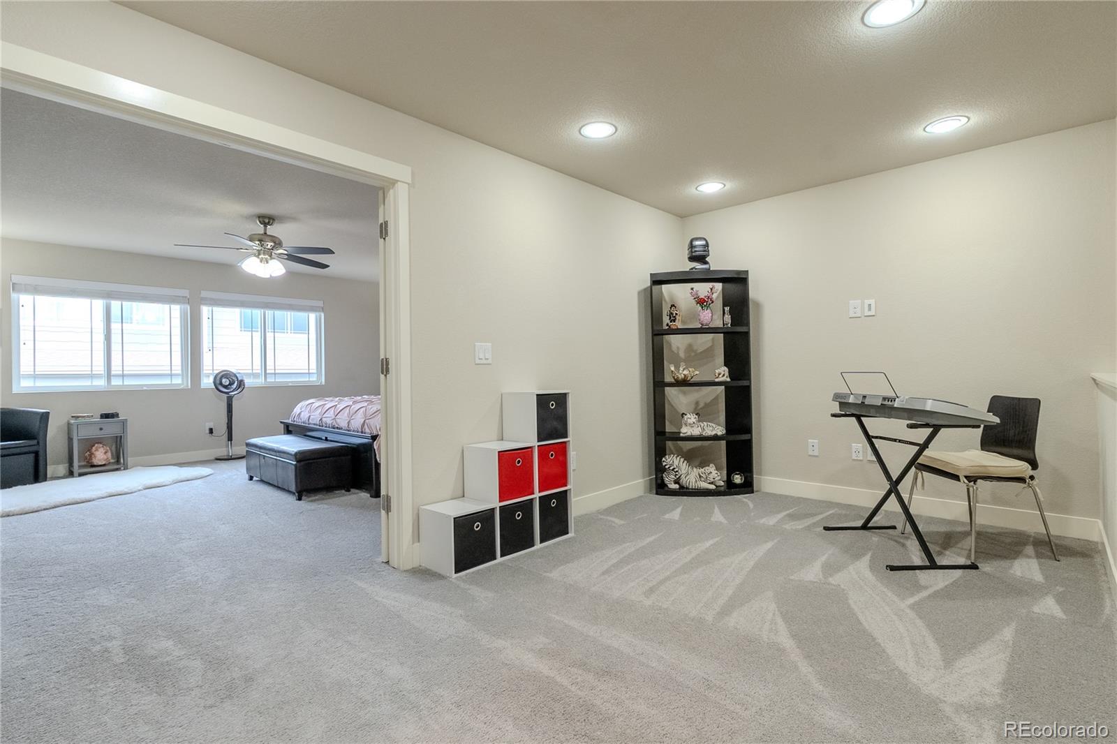 MLS Image #11 for 12254  hazel spruce court ,parker, Colorado