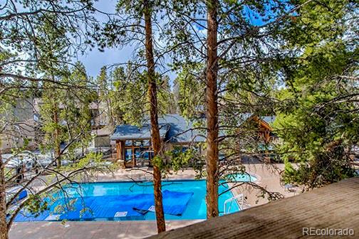 MLS Image #27 for 820  columbine road,breckenridge, Colorado