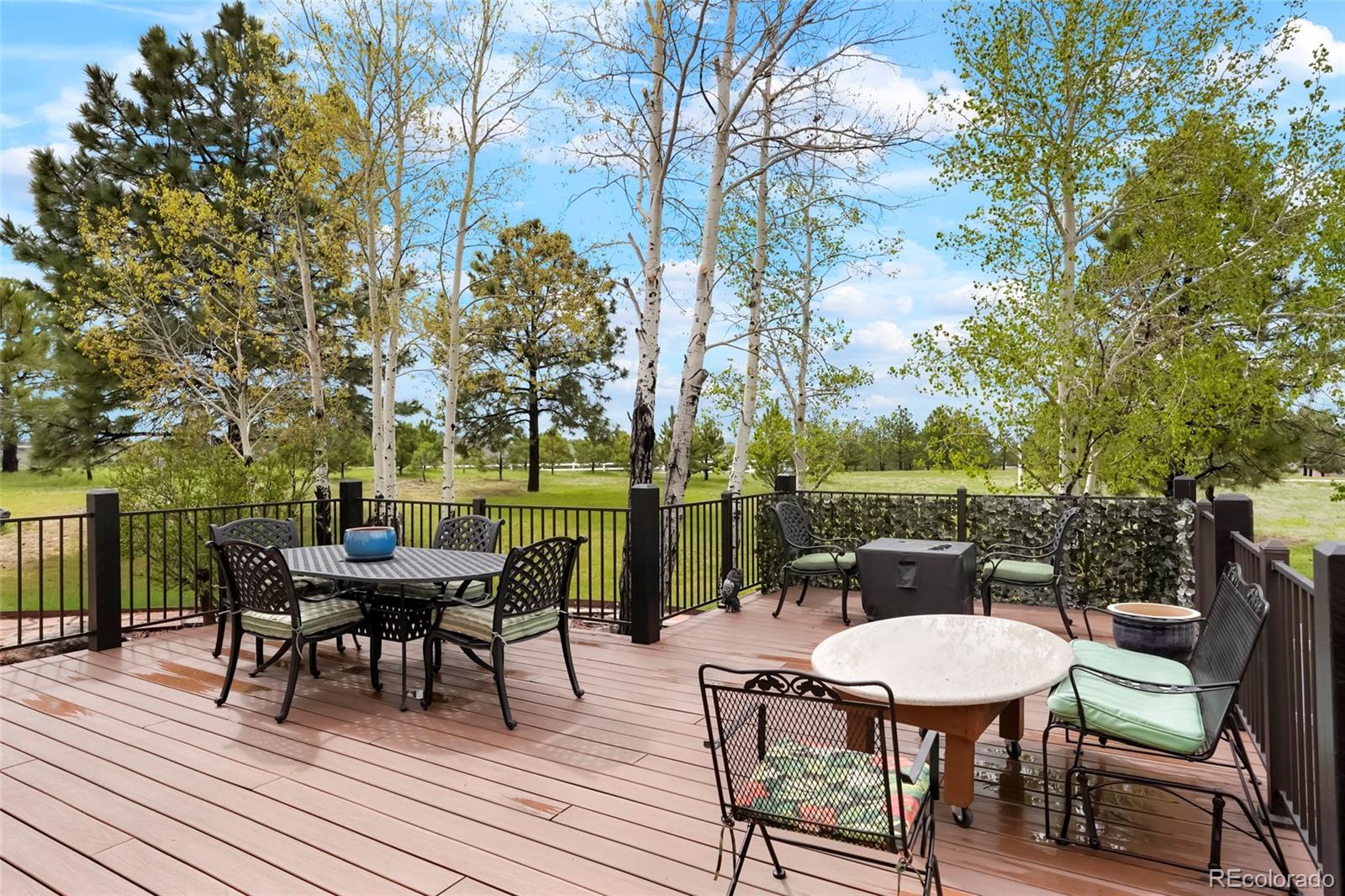 MLS Image #38 for 34682  stampede circle,elizabeth, Colorado
