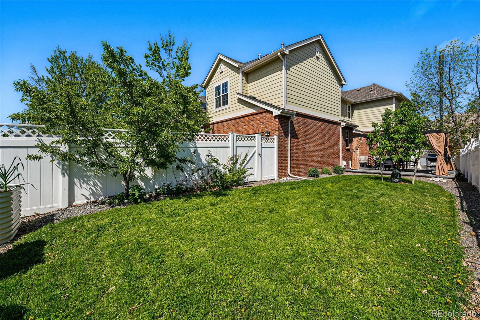MLS Image #30 for 1063  roslyn court,denver, Colorado