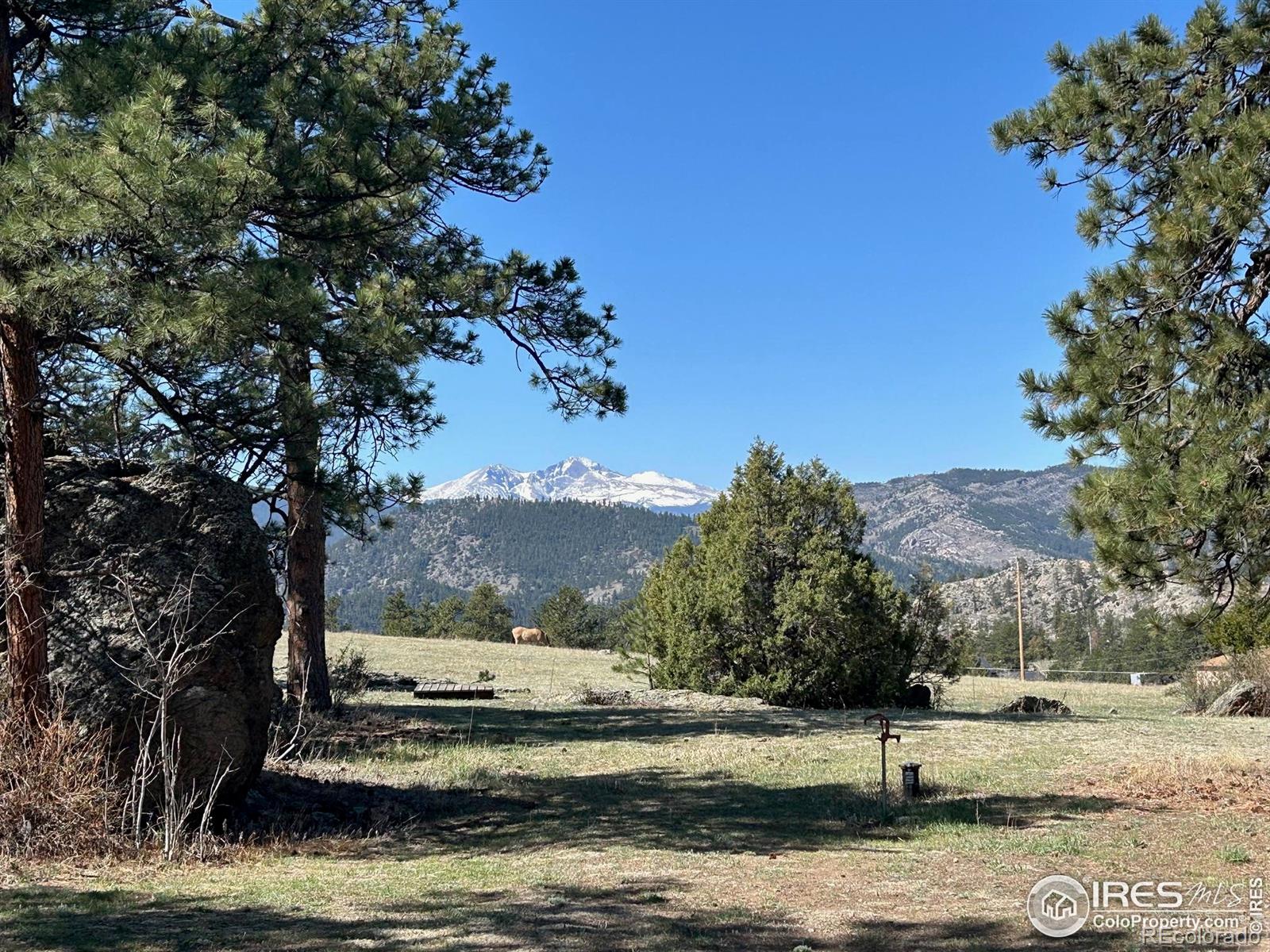 MLS Image #15 for 141  palisade mountain drive,drake, Colorado