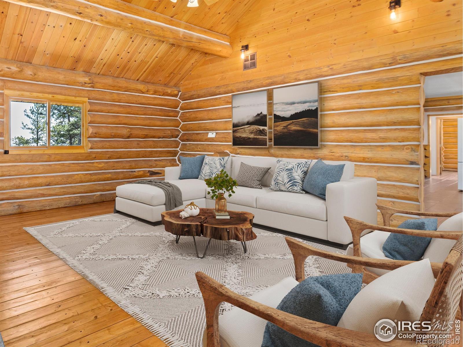 MLS Image #16 for 141  palisade mountain drive,drake, Colorado