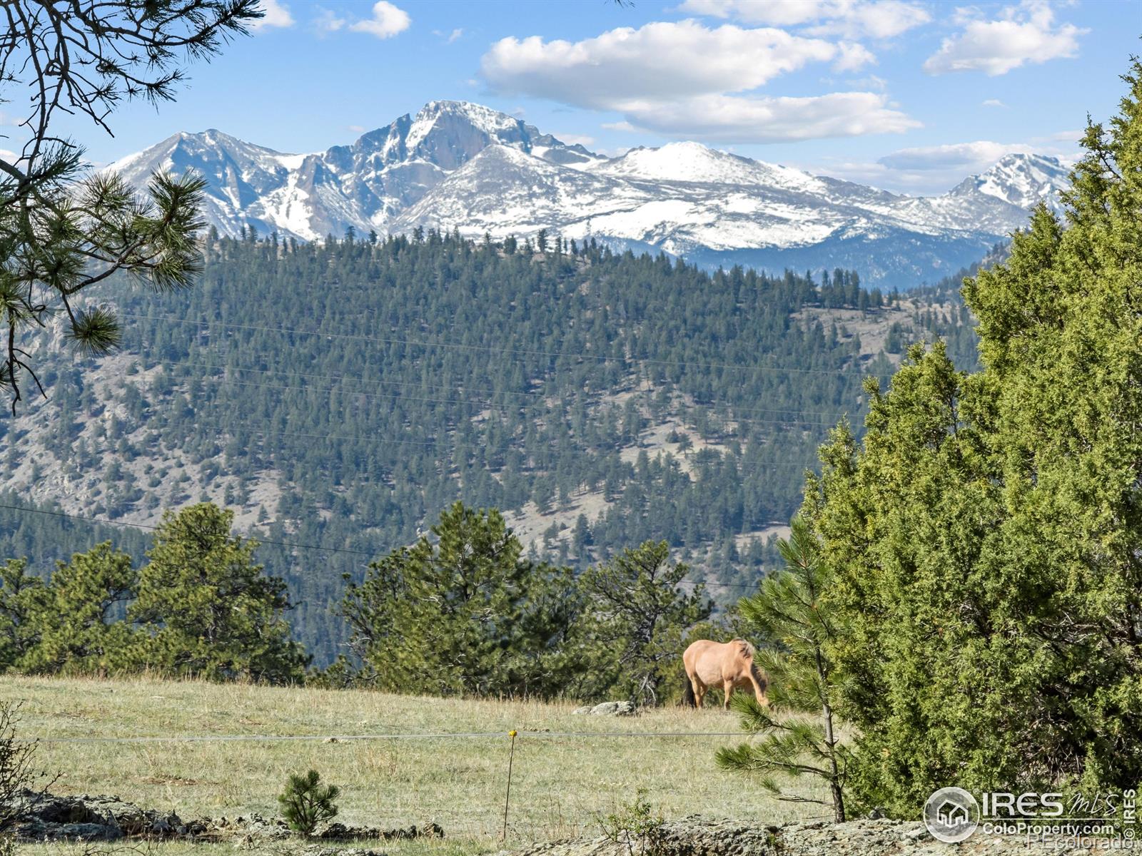 MLS Image #2 for 141  palisade mountain drive,drake, Colorado