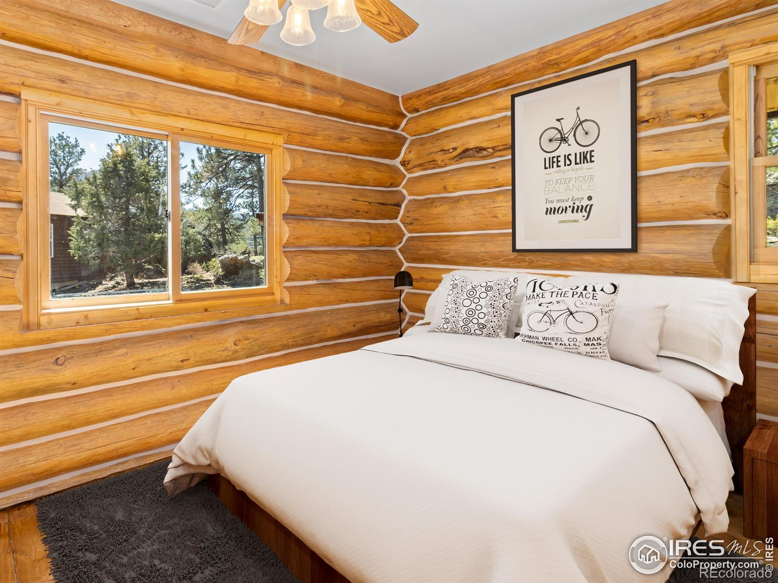 MLS Image #22 for 141  palisade mountain drive,drake, Colorado