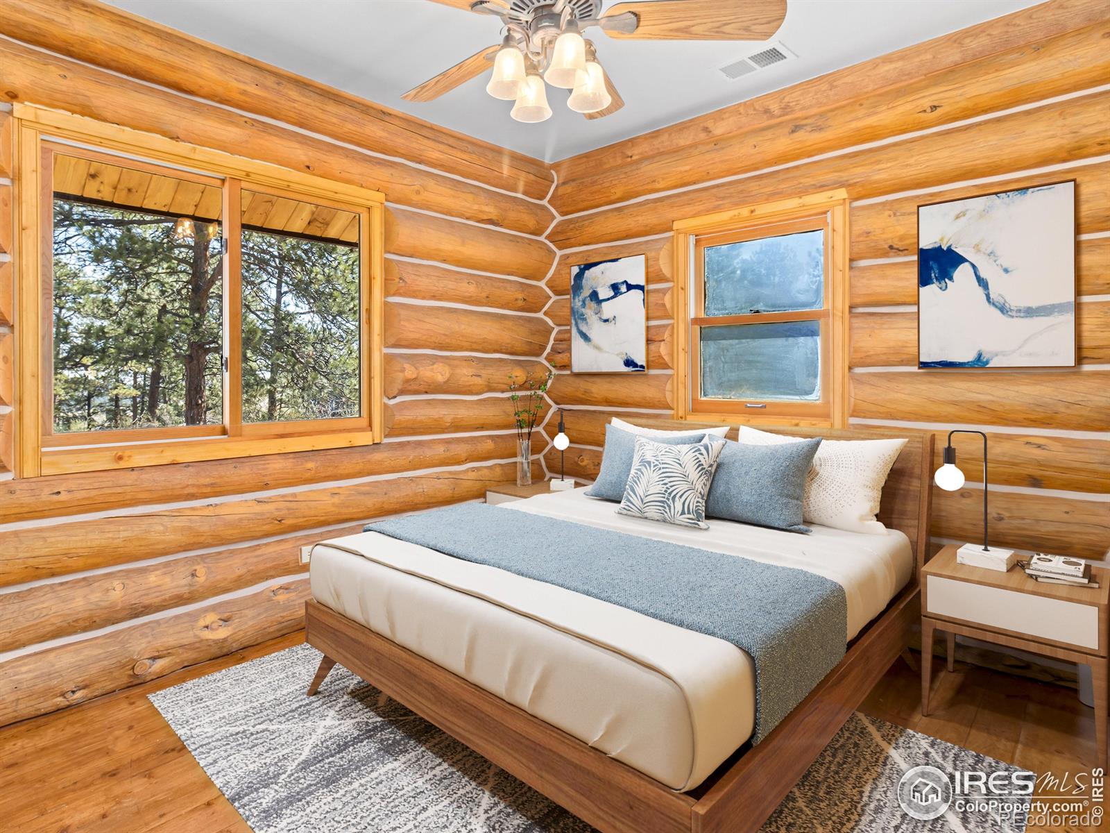 MLS Image #24 for 141  palisade mountain drive,drake, Colorado