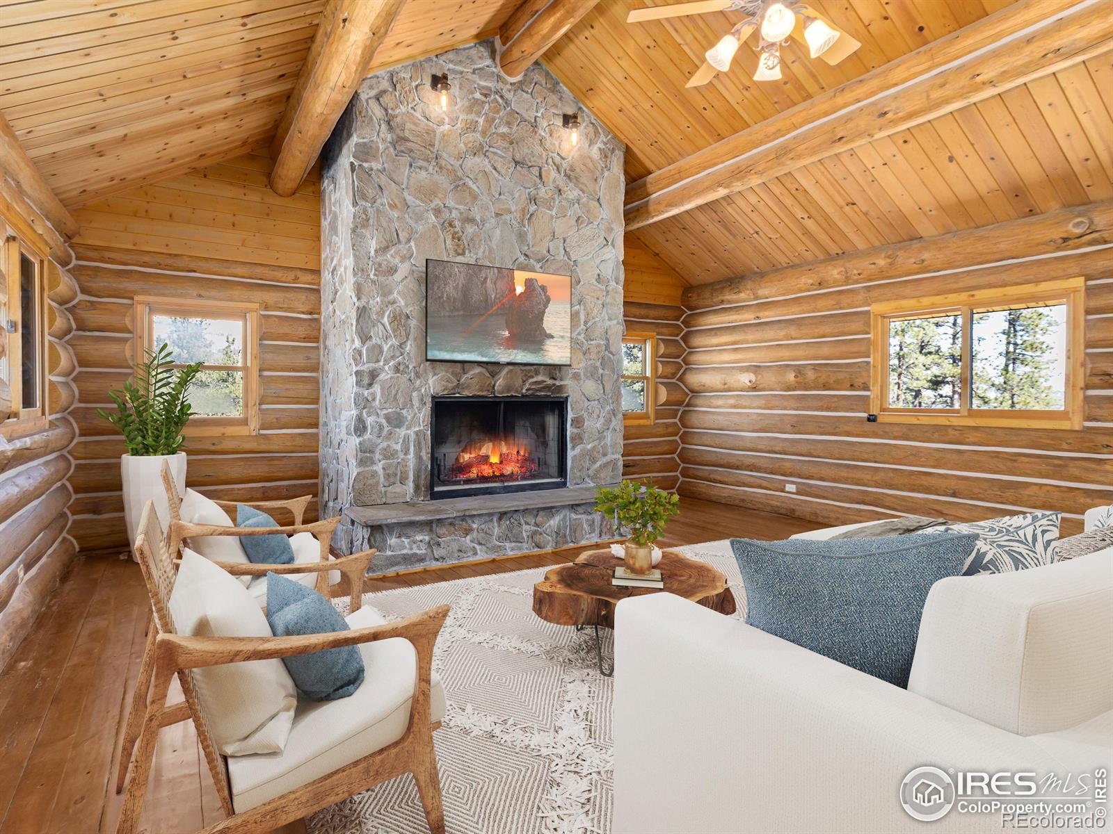 MLS Image #4 for 141  palisade mountain drive,drake, Colorado
