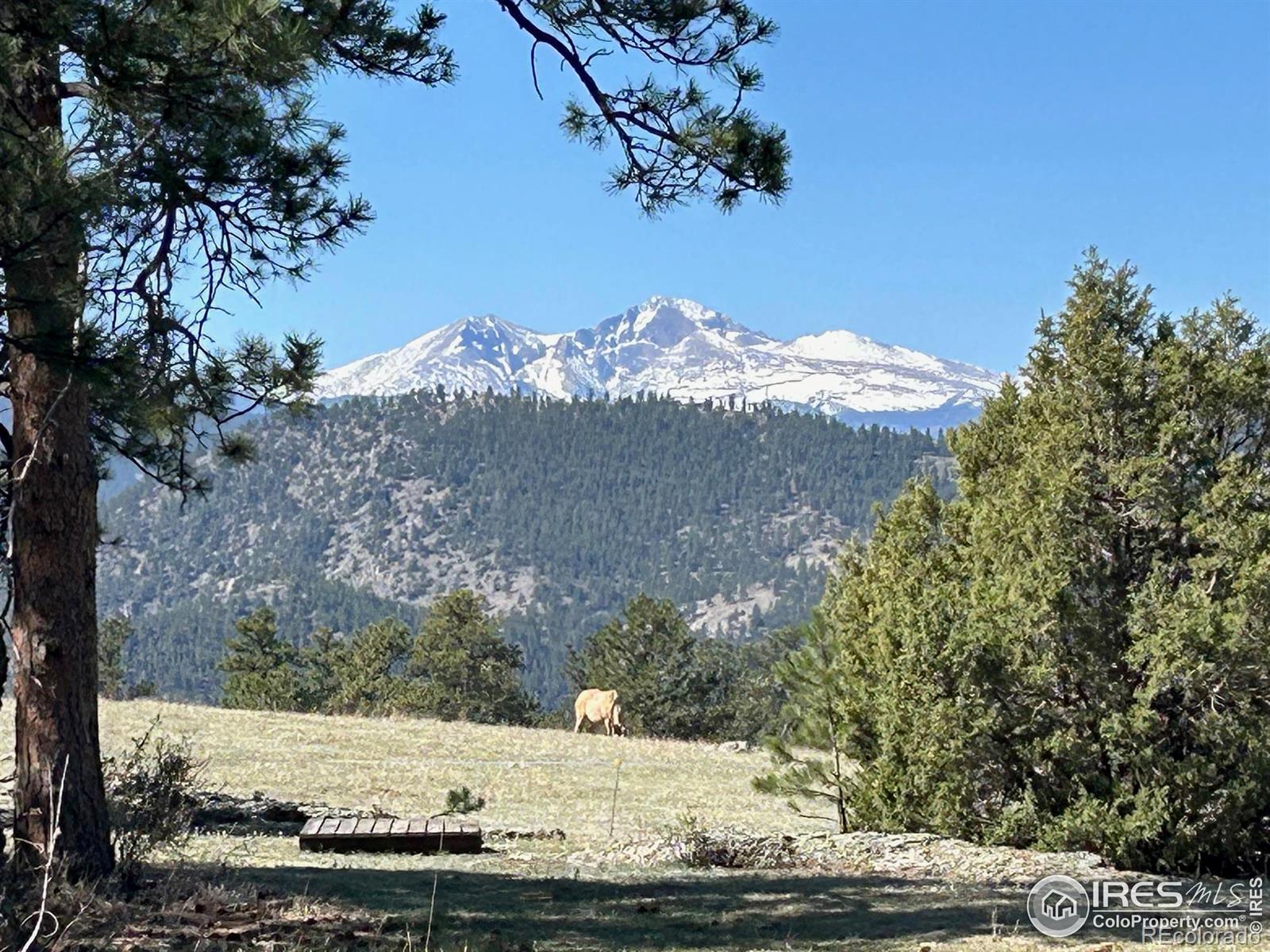 MLS Image #8 for 141  palisade mountain drive,drake, Colorado