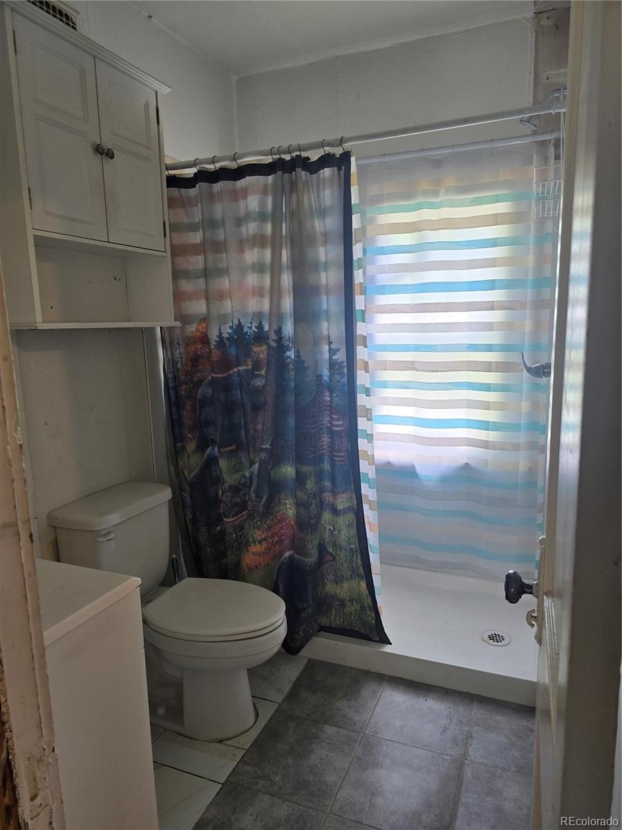 MLS Image #15 for 714  front street,arriba, Colorado