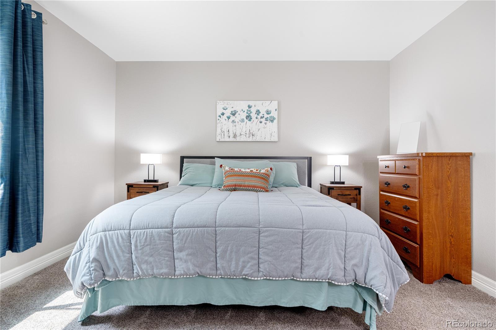 MLS Image #29 for 2065  sage grouse way,castle rock, Colorado