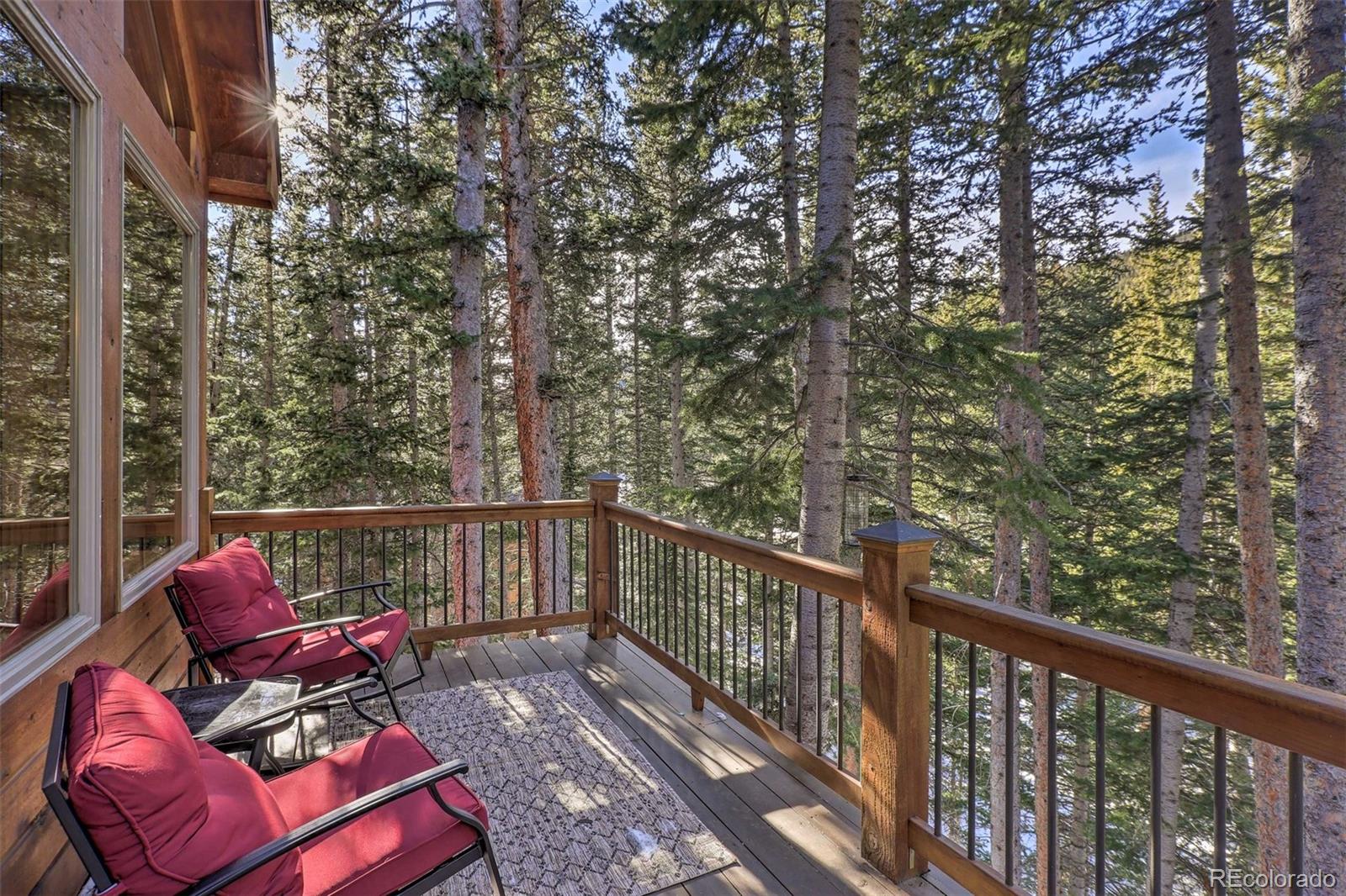 MLS Image #30 for 609  brook drive,idaho springs, Colorado