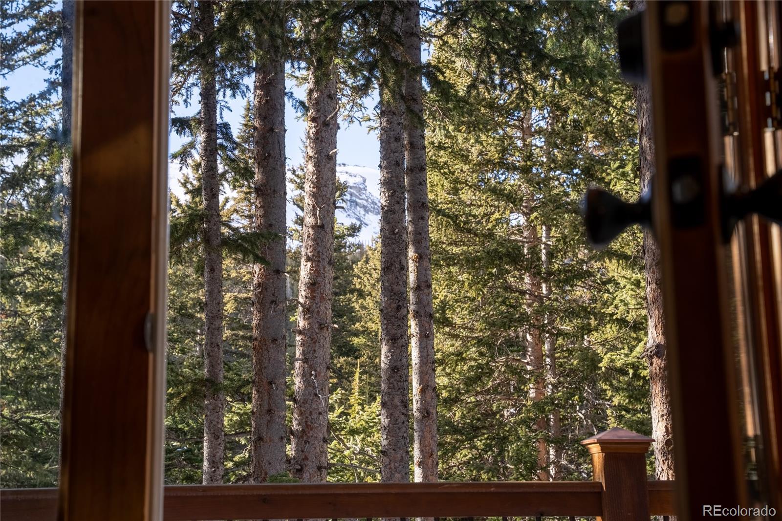 MLS Image #31 for 609  brook drive,idaho springs, Colorado