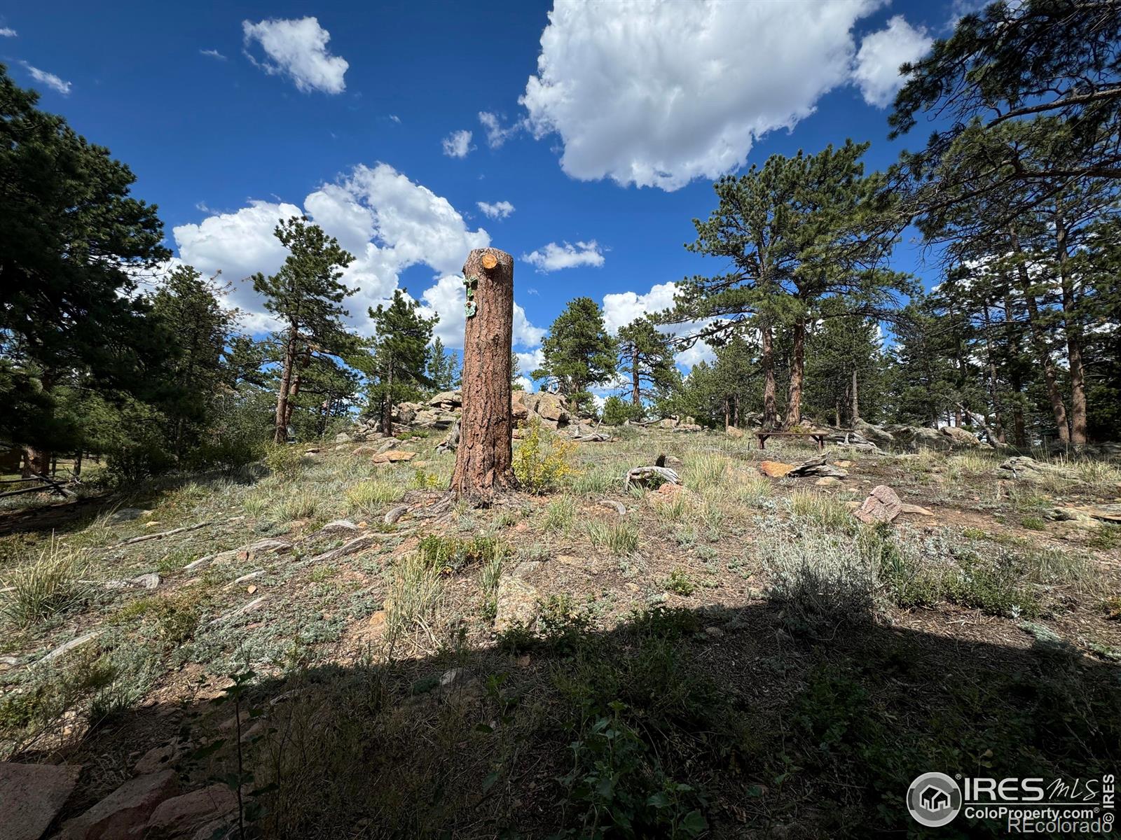 MLS Image #24 for 108  buffalo run lane,red feather lakes, Colorado