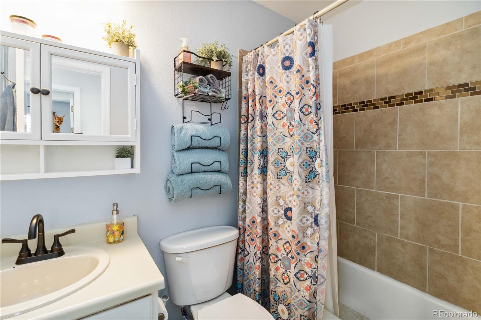 MLS Image #23 for 7647  elmwood street,littleton, Colorado