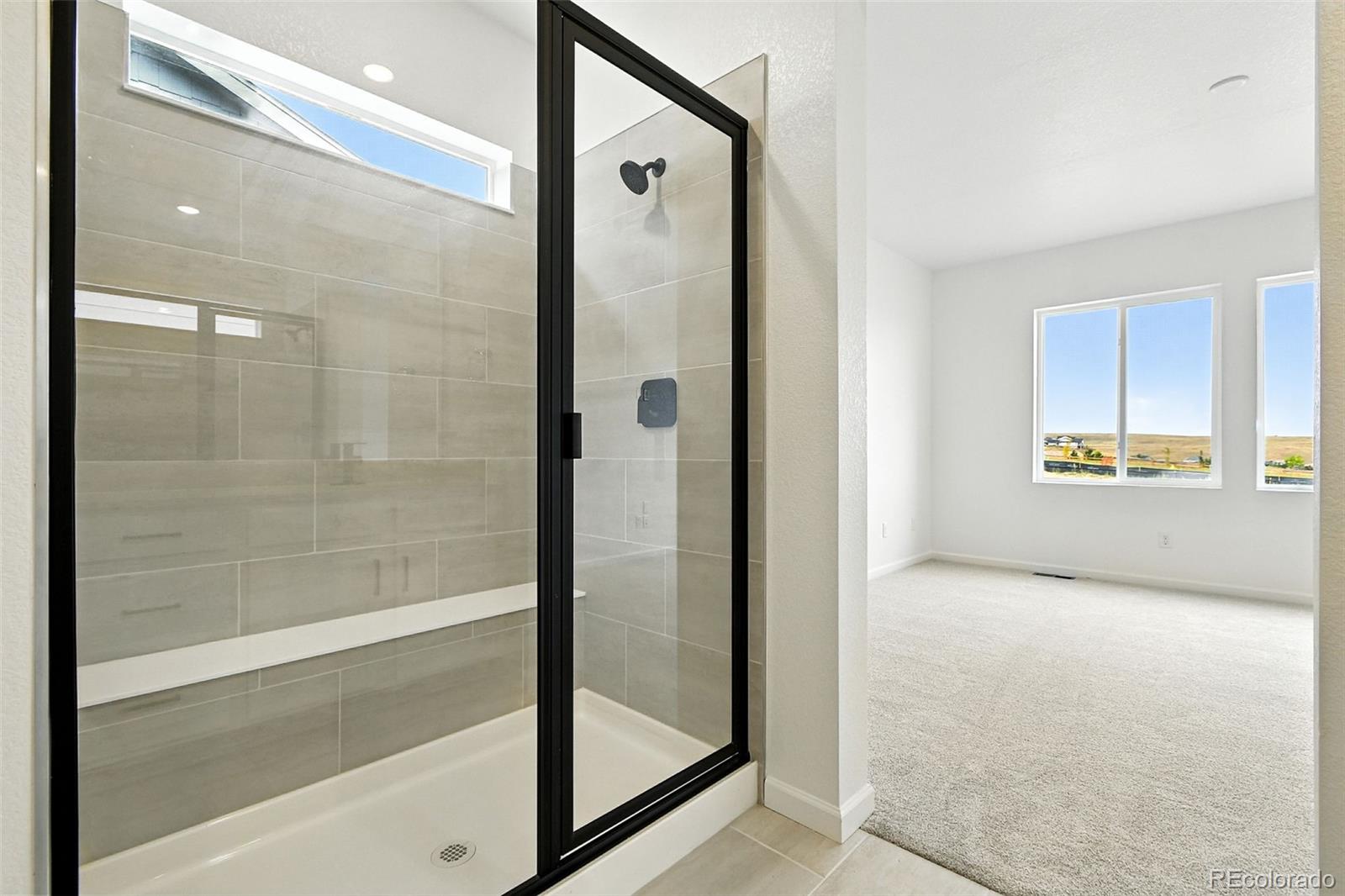 MLS Image #19 for 17075 w 92nd loop,arvada, Colorado