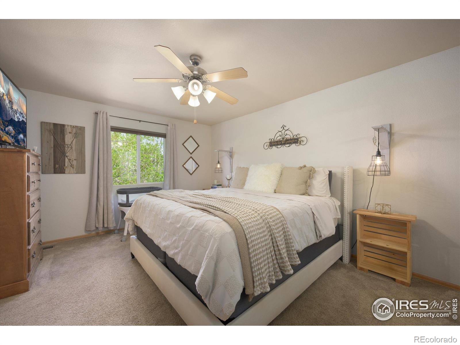 MLS Image #15 for 3761  anvil court,mead, Colorado