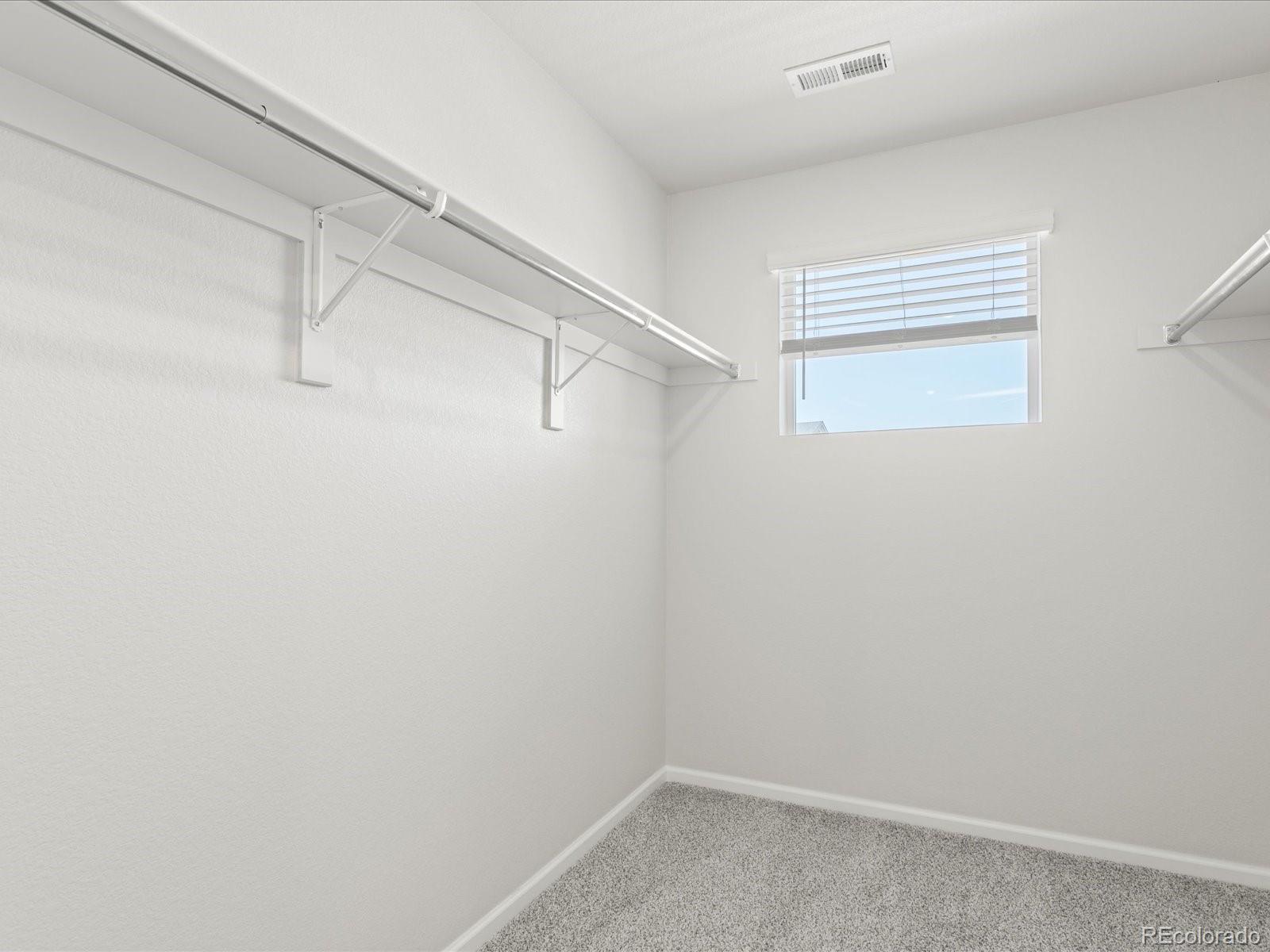 MLS Image #27 for 1618  riverplace drive,windsor, Colorado