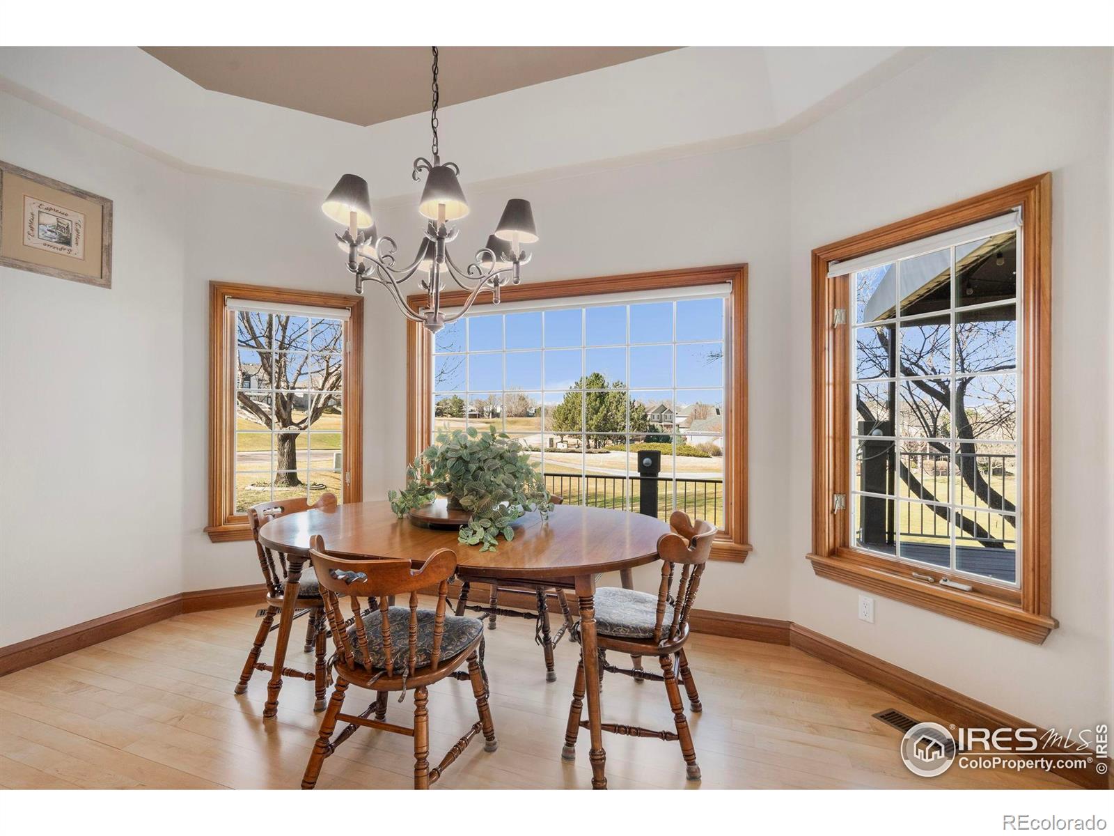 MLS Image #13 for 7415  vardon way,fort collins, Colorado