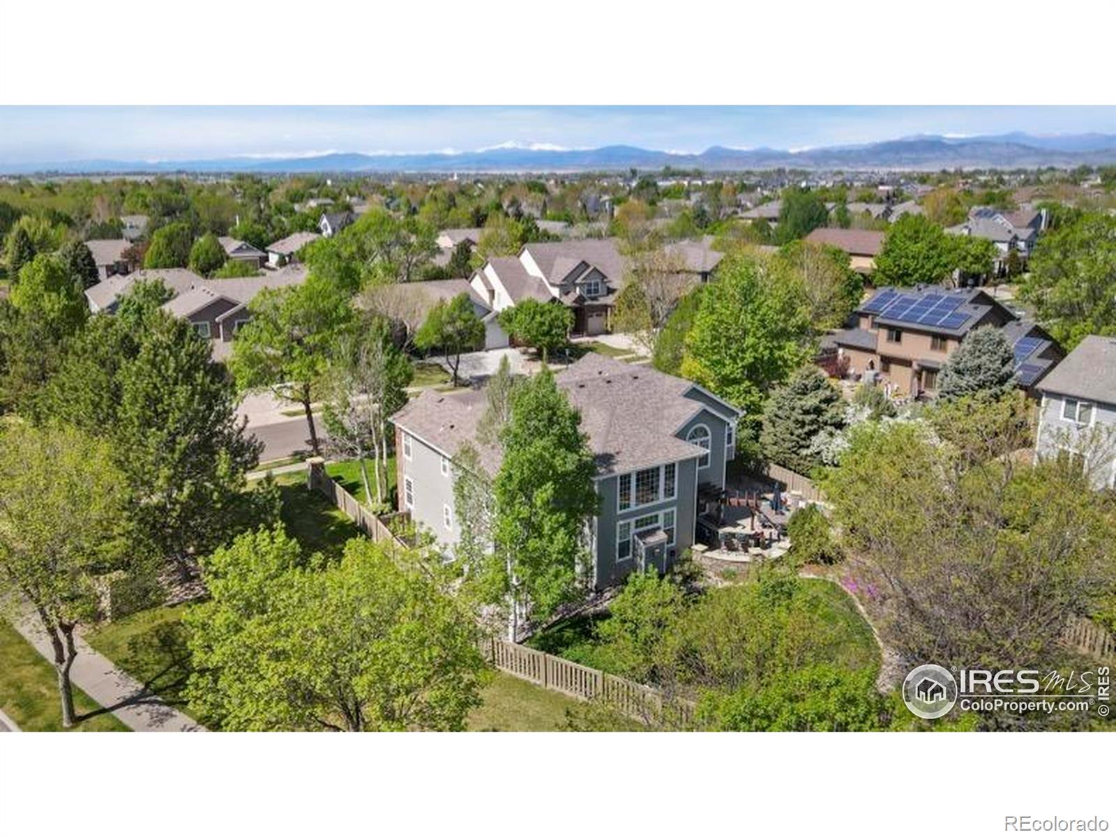 MLS Image #39 for 3338  wild view drive,fort collins, Colorado