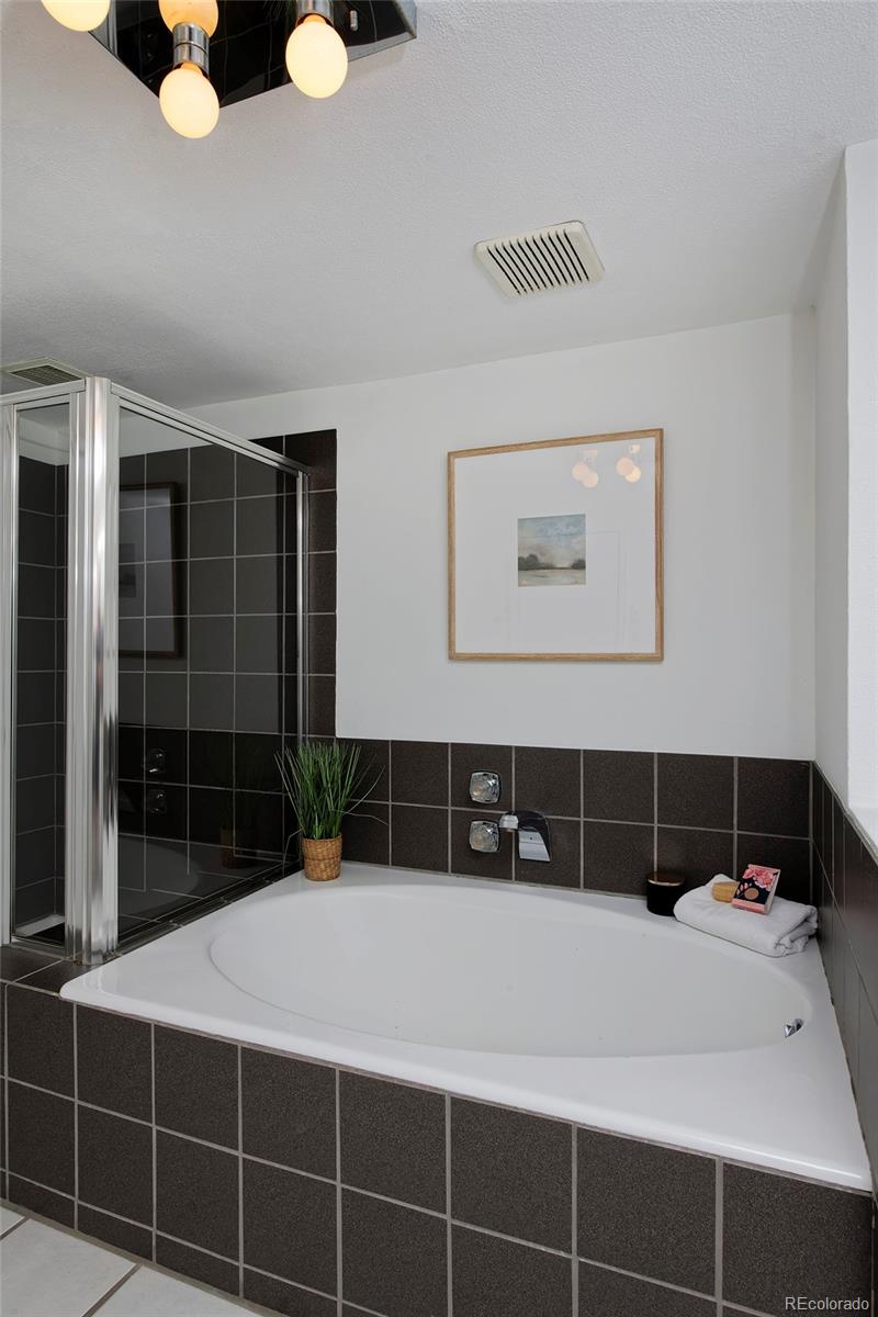 MLS Image #39 for 2500  locust street,denver, Colorado