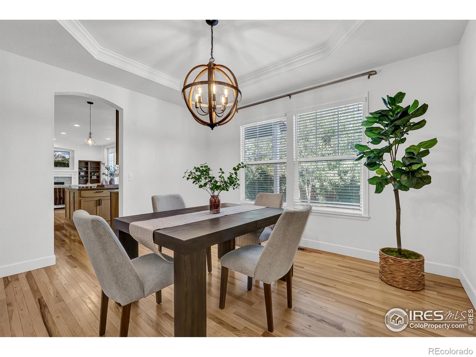 MLS Image #15 for 5639  cardinal flower court,fort collins, Colorado