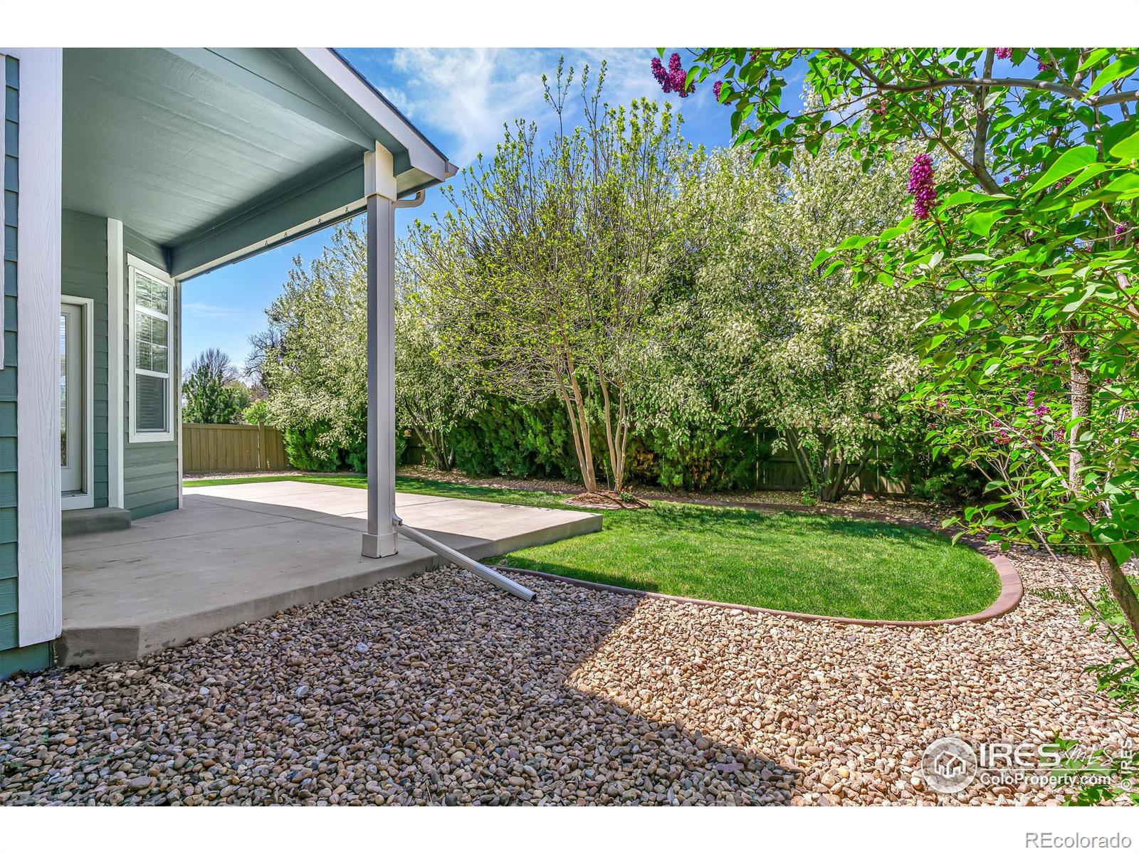 MLS Image #31 for 5639  cardinal flower court,fort collins, Colorado