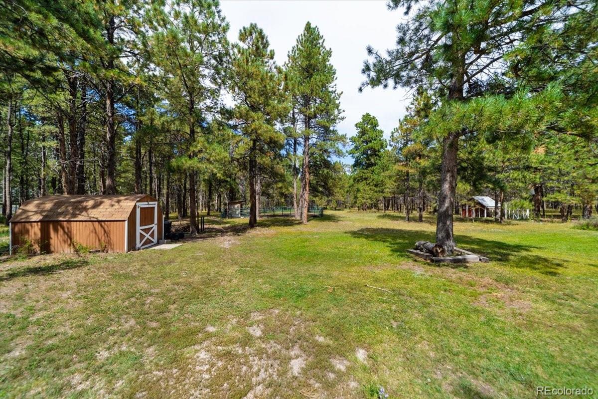 MLS Image #12 for 9510  morgan road,colorado springs, Colorado