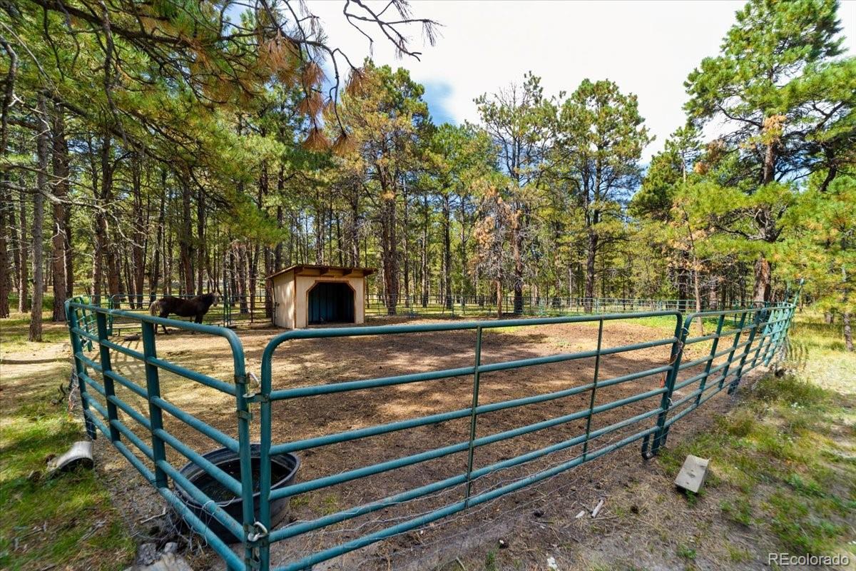 MLS Image #14 for 9510  morgan road,colorado springs, Colorado