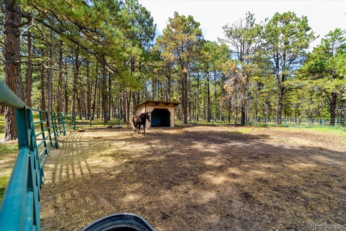 MLS Image #15 for 9510  morgan road,colorado springs, Colorado