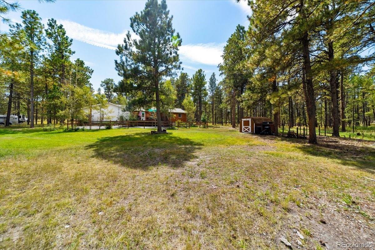 MLS Image #16 for 9510  morgan road,colorado springs, Colorado