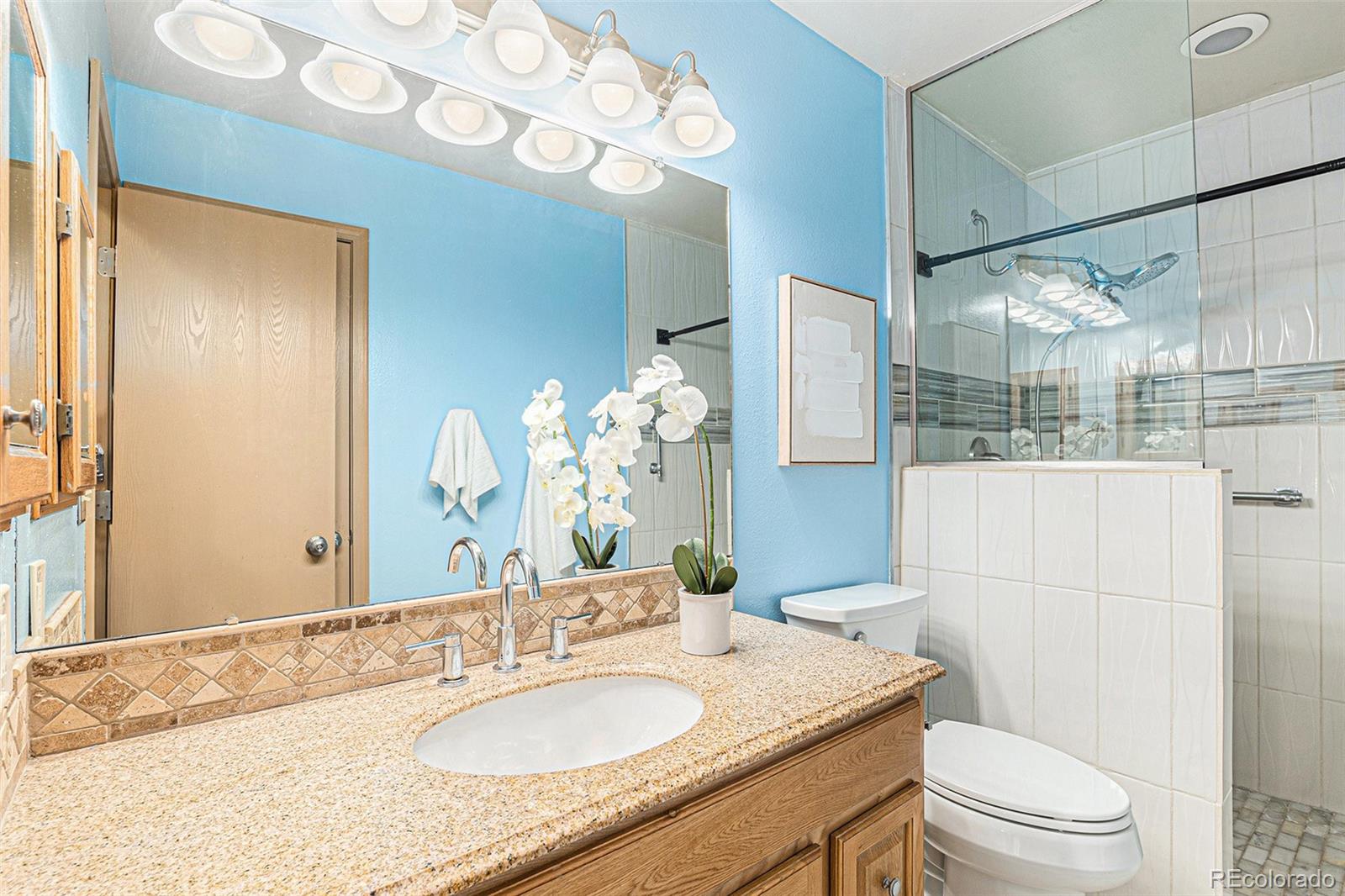 MLS Image #14 for 10152  telluride street,littleton, Colorado