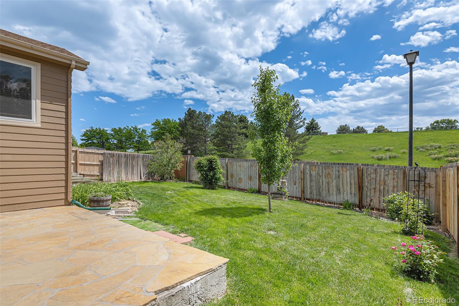 MLS Image #20 for 10152  telluride street,littleton, Colorado