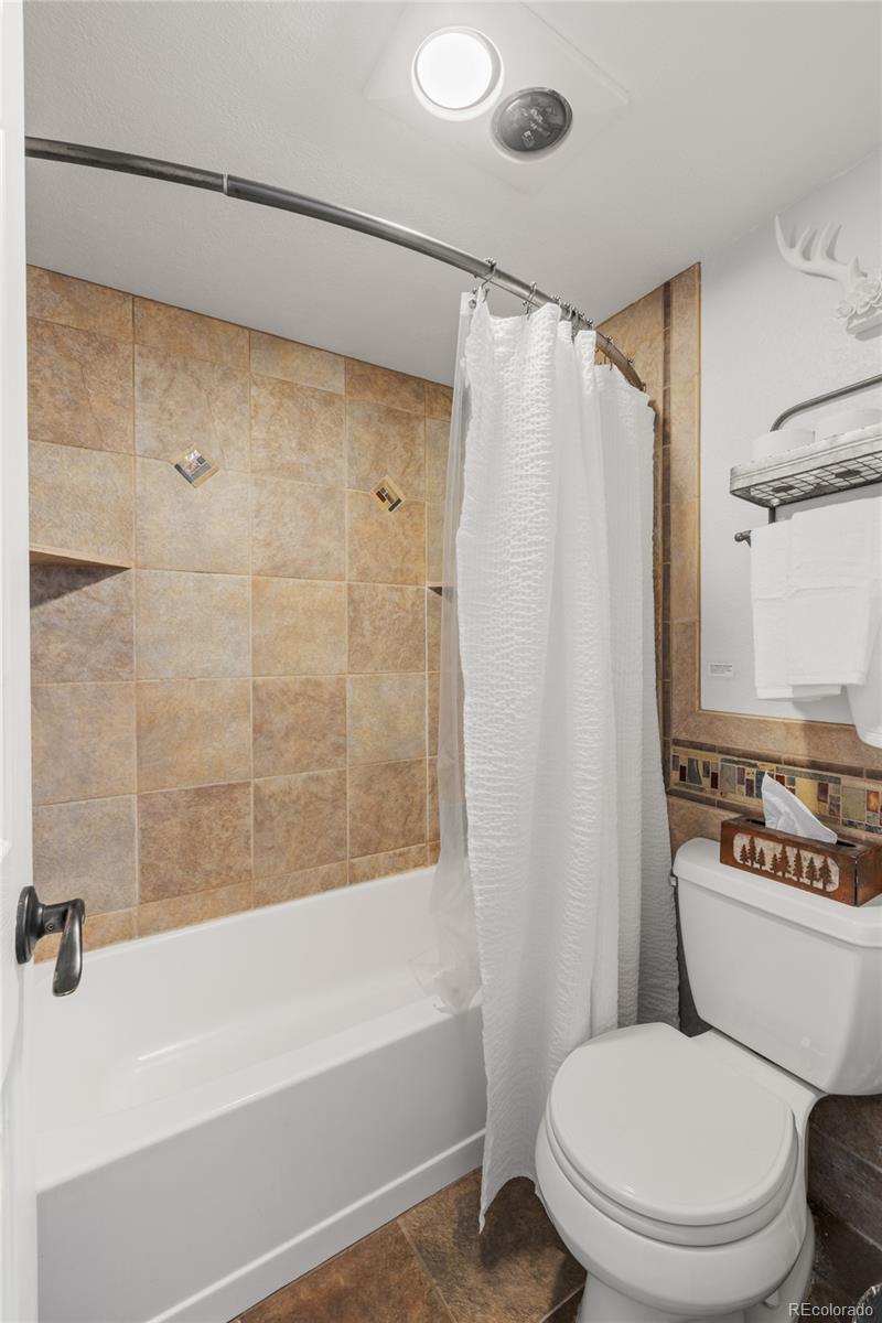 MLS Image #18 for 1179  ski hill road 147,breckenridge, Colorado