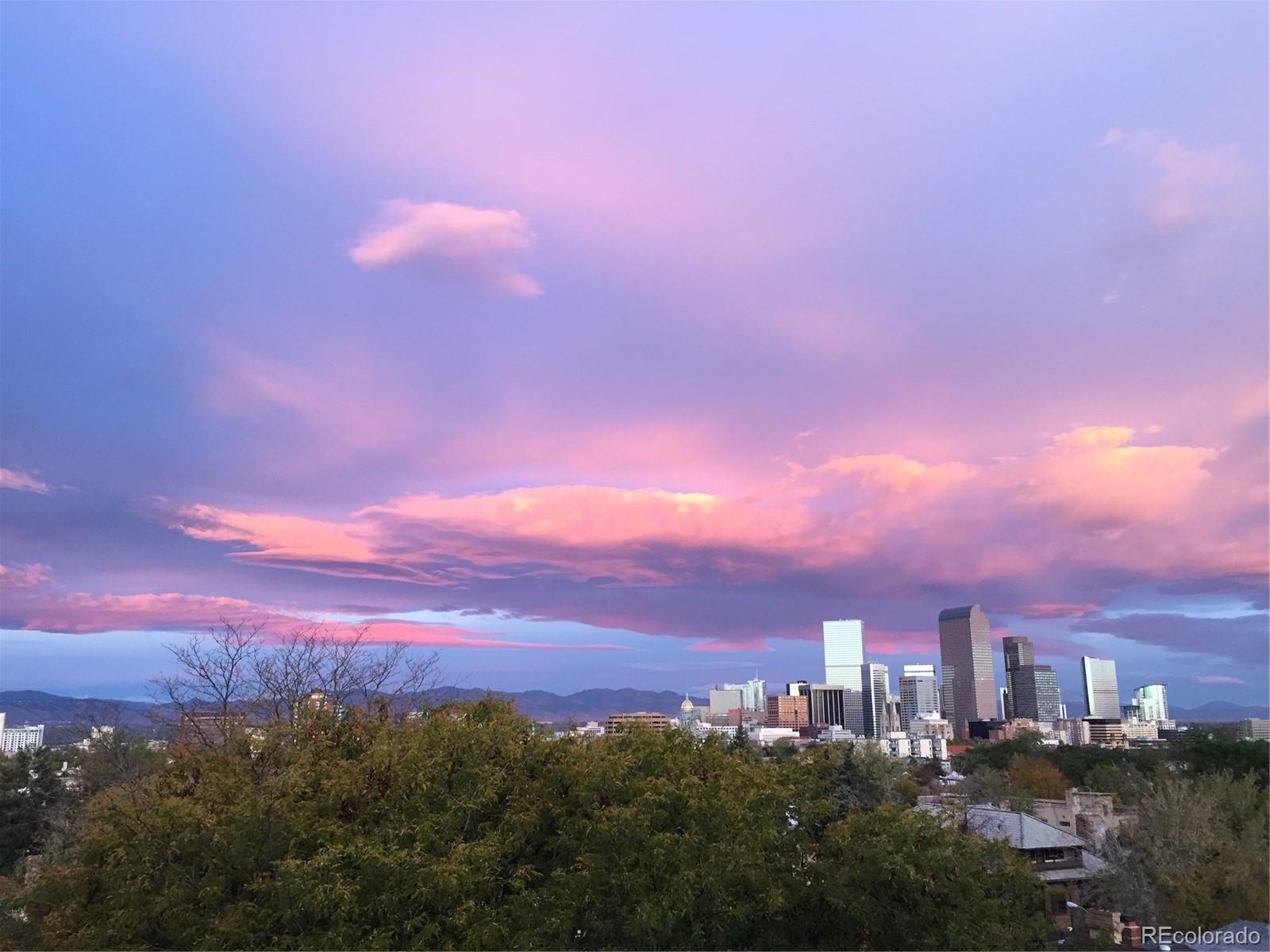 MLS Image #44 for 1085 n lafayette street,denver, Colorado
