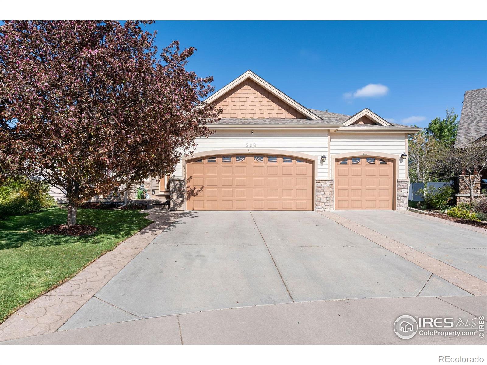 MLS Image #0 for 509  trout creek court,windsor, Colorado