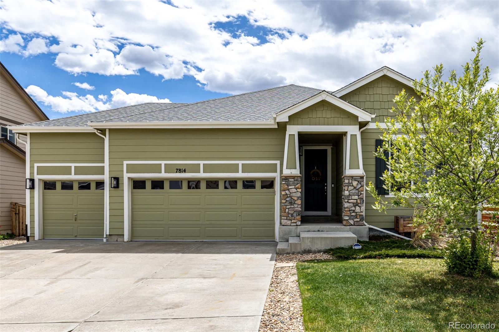 MLS Image #0 for 7814  grady circle,castle rock, Colorado
