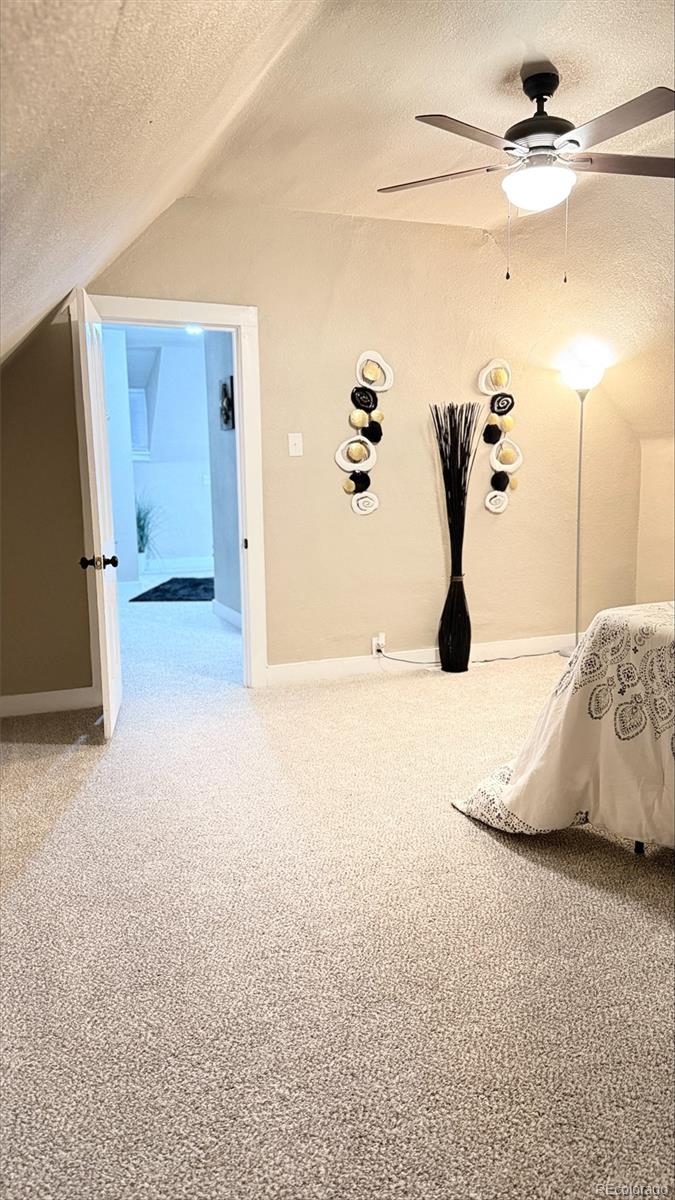 MLS Image #24 for 912  spruce street,pueblo, Colorado