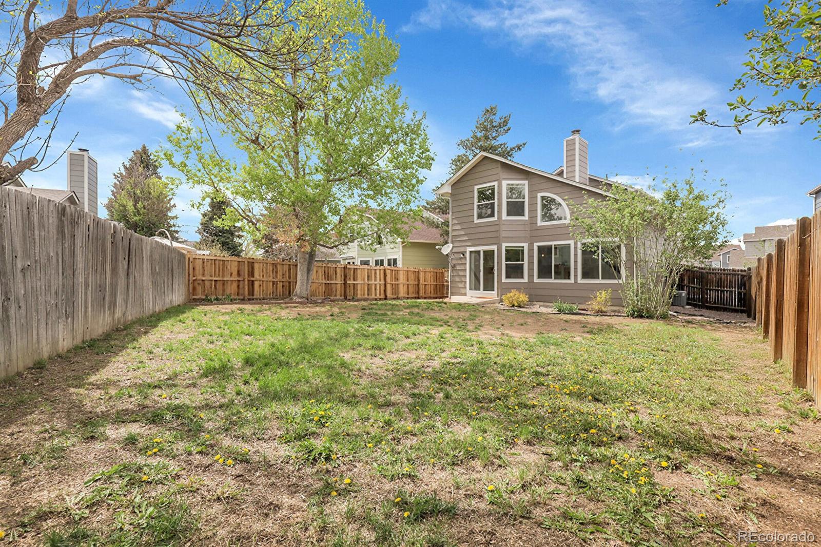 MLS Image #28 for 16928  dandelion way,parker, Colorado