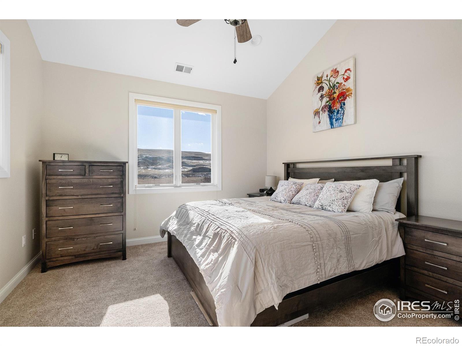 MLS Image #29 for 313 s 3rd avenue,superior, Colorado