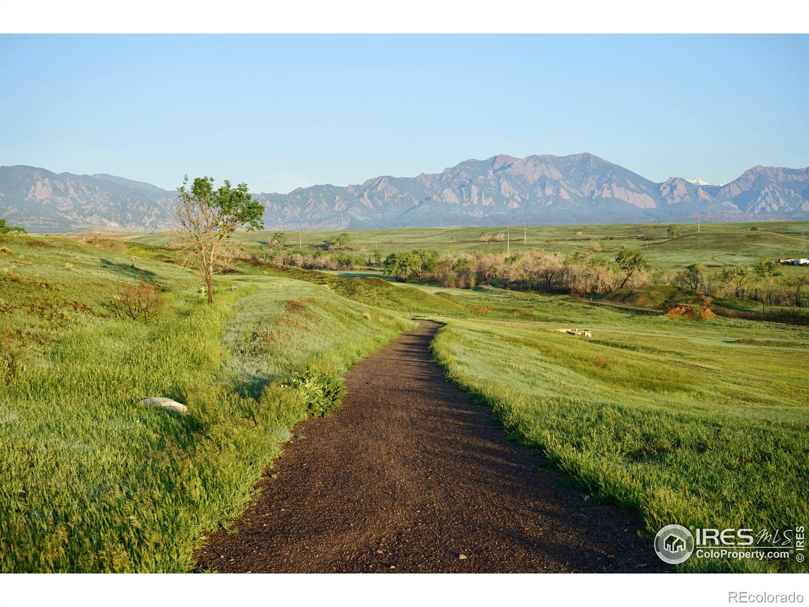 MLS Image #3 for 313 s 3rd avenue,superior, Colorado